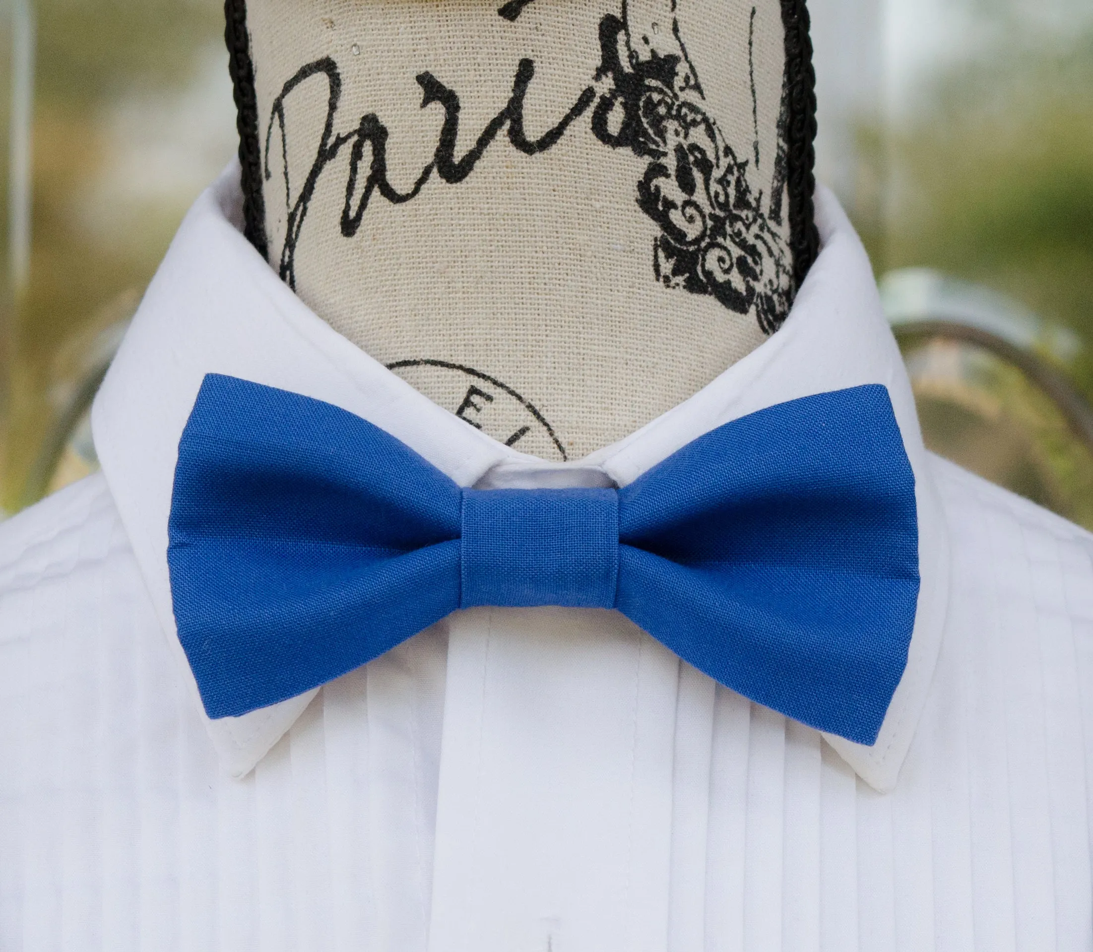 Regatta Royal Blue Bow Tie and/or Suspenders (305)